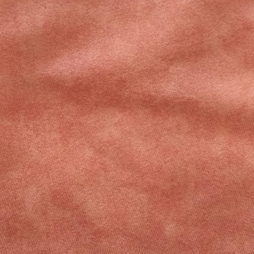 Evolution And Creation Top. - image 7